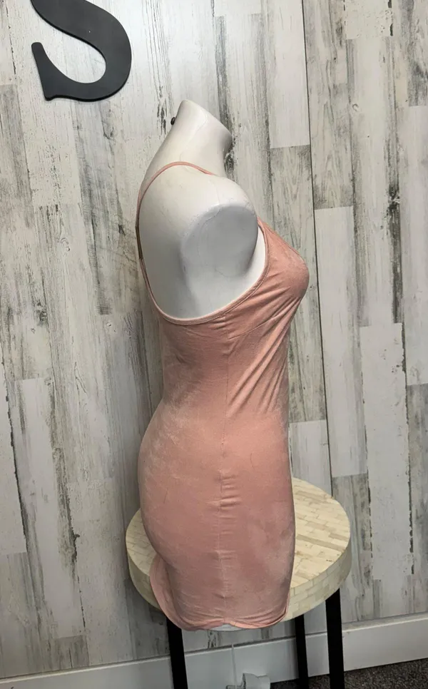 Windsor Pink Velvet Dress - Image 7