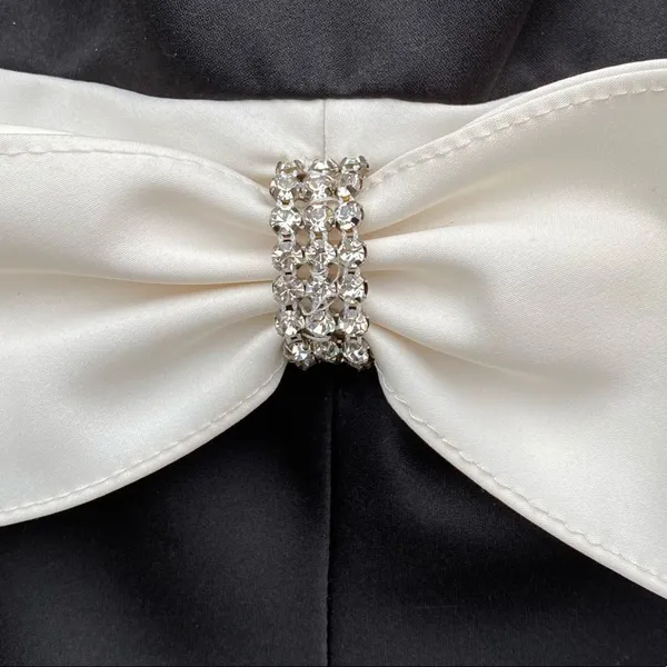 Vintage‎ Cinderella Divine Dress - Image 4