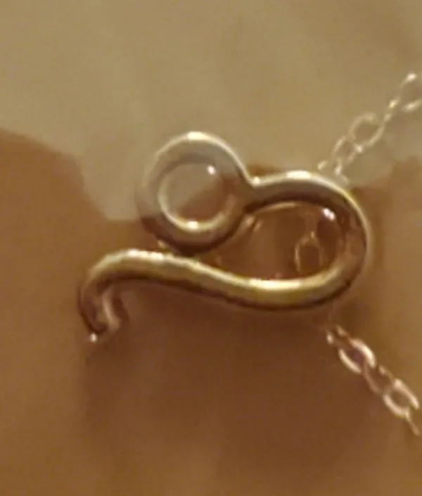 LEO Zodiac Sign Pendant Necklace - Image 3
