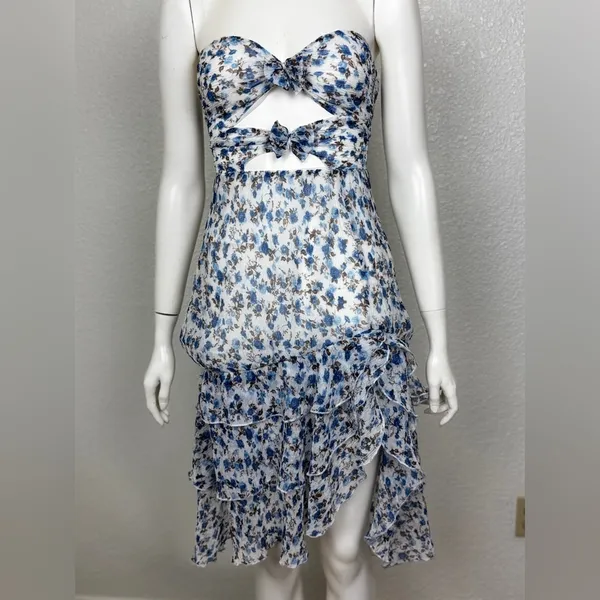 Majorelle Emelia Midi Blue Floral Zip CutOut Lined Strapless Dress Size XS K-54 - Image 2