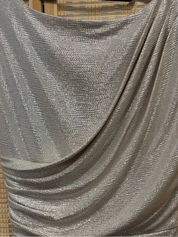 Alex Marie Shimmery Silver Asymmetrical Ruched Cocktail Dress - Image 3