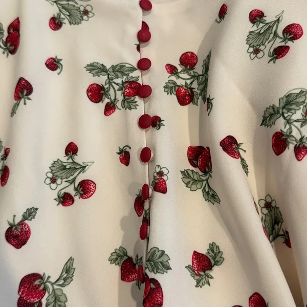 Frankie’s Bikinis Kenley Mini Dress Size Large Strawberry Print - Image 6