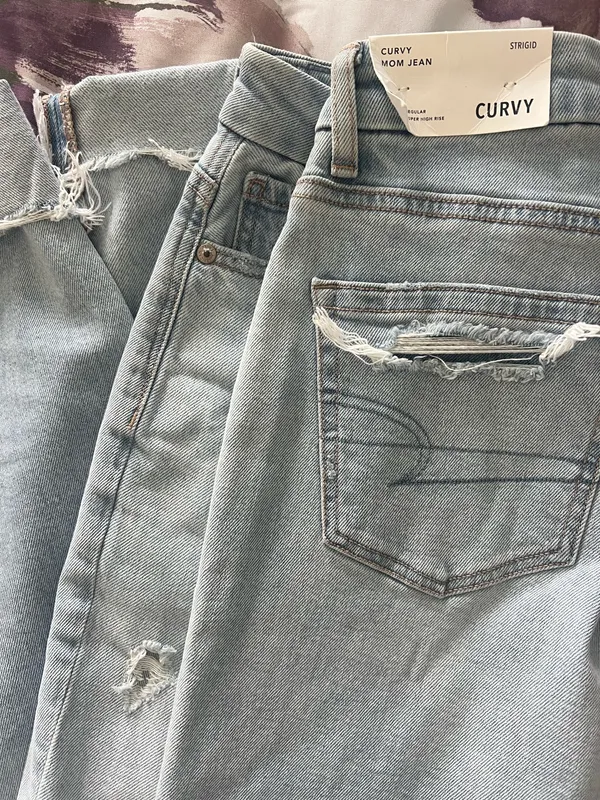 American Eagle Strigid Curvy Mom Jeans - Image 3