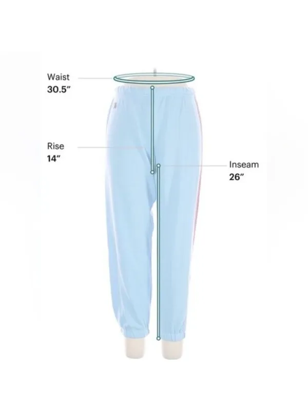 Aviator Nation Light Blue 5 striped Track Pants - Image 7
