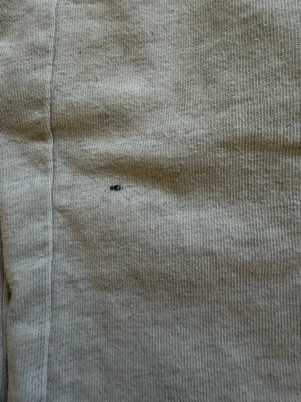 Brandy Melville Anastasia Sweatpants - Image 3