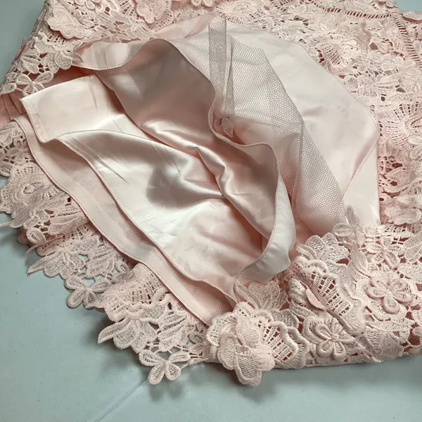 Altar’d State Silvyn Lace Mini Dress in Light Pink Sz Large NWOT - Image 4