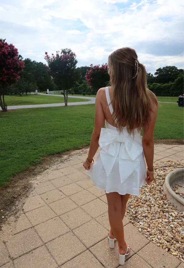 Show Me Your Mumu Mini Dress with Removable Bow - Image 3