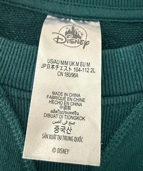 Walt Disney World Pullover Sweatshirt Take Care Of Yourself Take a Walk - Image 5