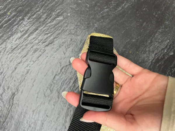 Triangl e swimwear gold fanny pack - Image 3