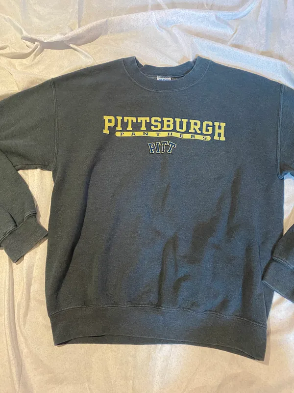 Pittsburgh panthers gray crewneck Size M - Image 4
