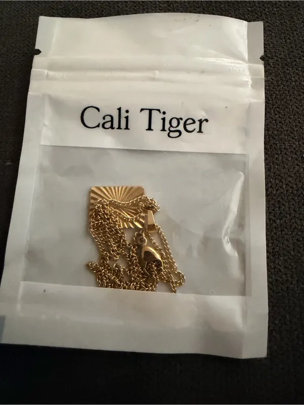 Gold Sunray Pendant Necklace - Image 2