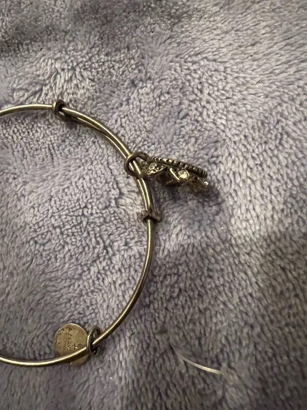 Alex and Ani Bracelet - Image 4