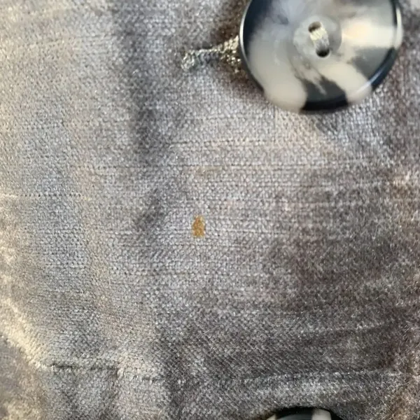 CAbi Sunday Topper Velvet Jacket‎ Style 3377 - Image 13