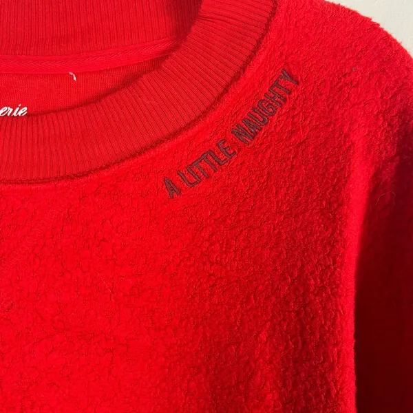 Aerie womens sweater sz small Sherpa Little Naughty Longline Oversized - Image 2