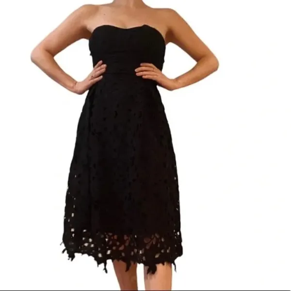 Alya Francesca's Women's Size XS Harpeth Strapless Lace Dress Black LBD F16D135 - Image 2