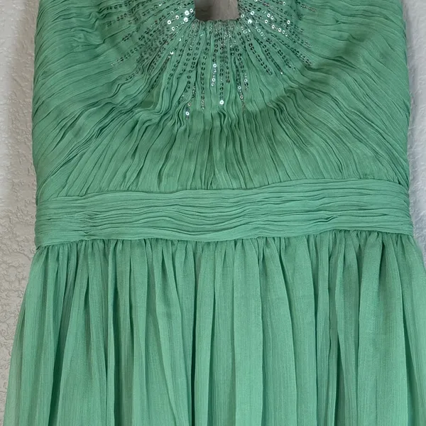 Halston Heritage Meadow Embellished Mint Green Strapless Chiffon Mini Dress $545 - Image 15