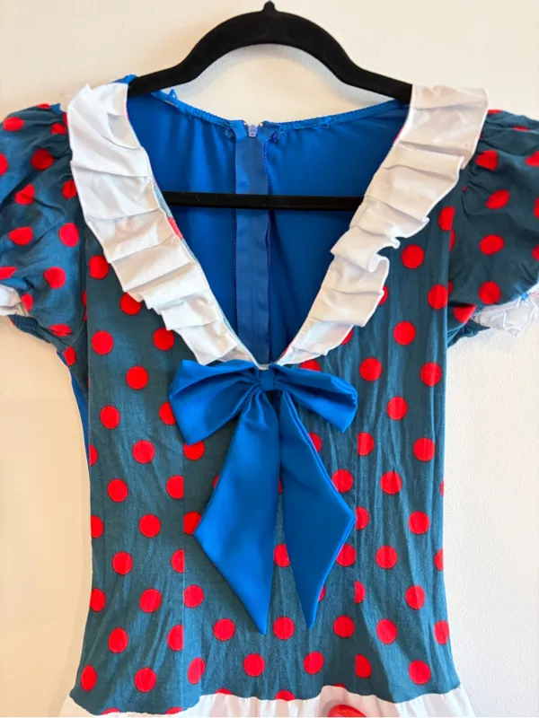 Leg Avenue Raggady Anne Halloween Dress Size M/L - Image 3