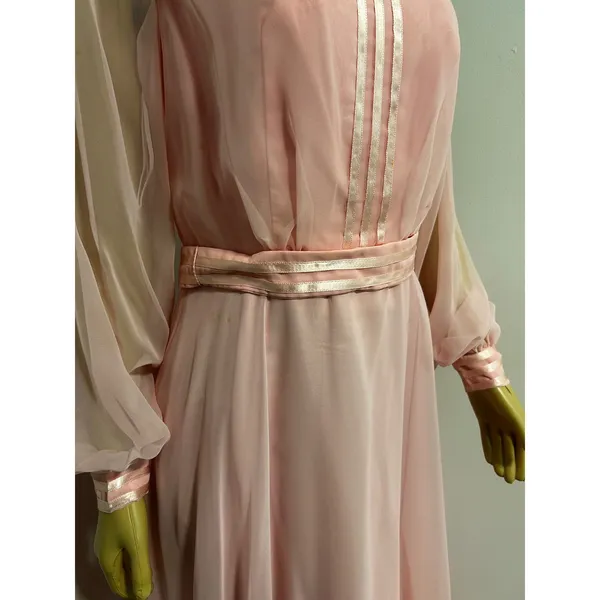Vintage 70s Pink Chiffon Maxi Gown Sheer Bishop Sleeve Mock Neck Formal Dress - Image 2