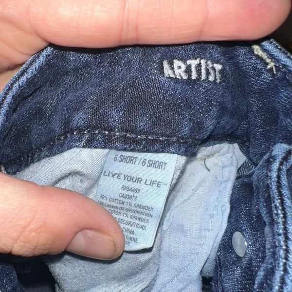 American Eagle size 6 short flared normcore jeans - Image 3