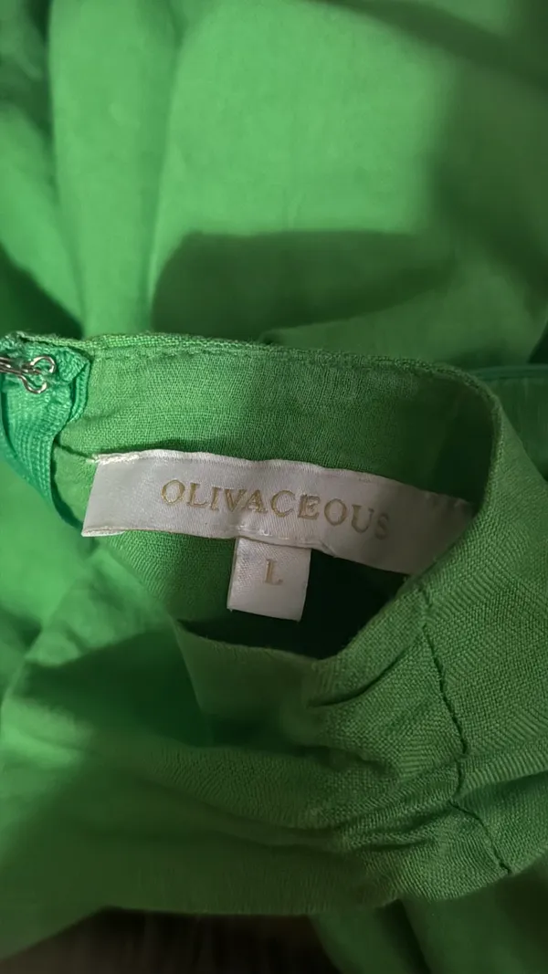 Olivaceous Mini Dress - Image 3