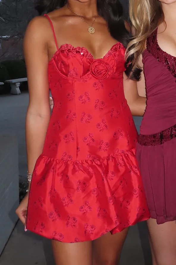 Annika Mini Dress - Image 2