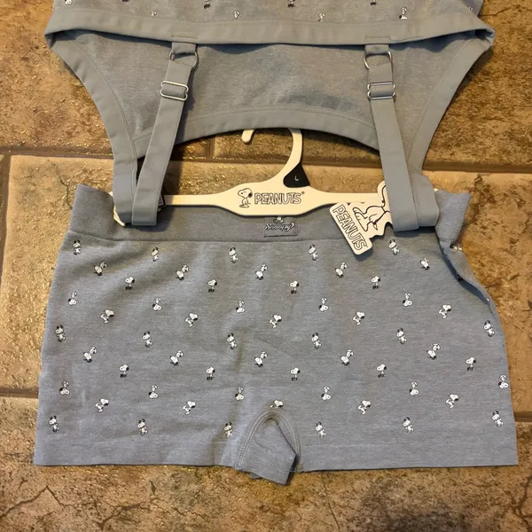 NWT Peanuts Snoopy bra and boy shorts set sz L - Image 5