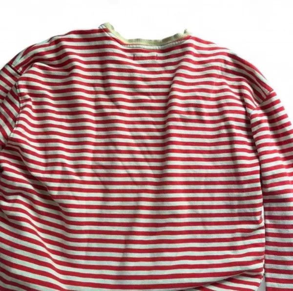 We The Free Striped Crew Sweater in Cherry - Image 2