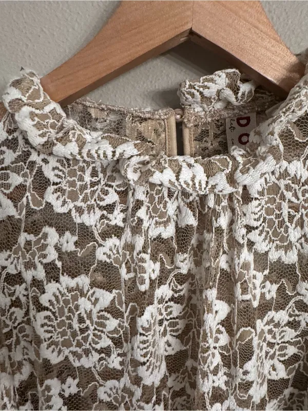 ANTHRO | DOLAN Sheer Lace Mockneck Blouse - Image 4