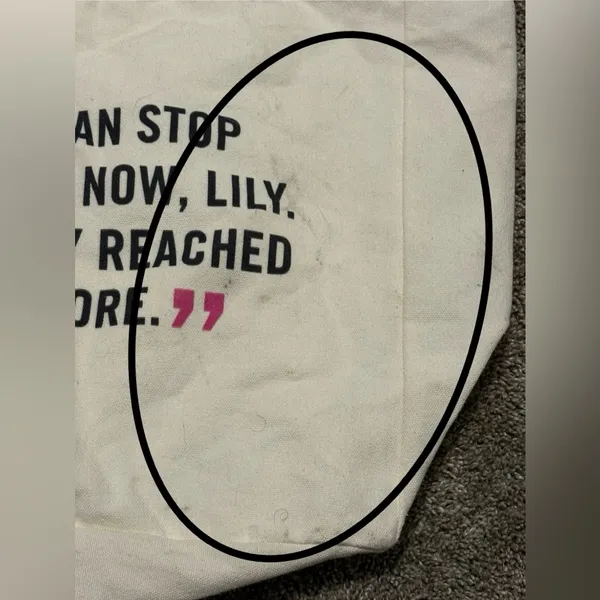(Colleen Hoover) It Ends With Us Tote Bag: 18” - Image 3