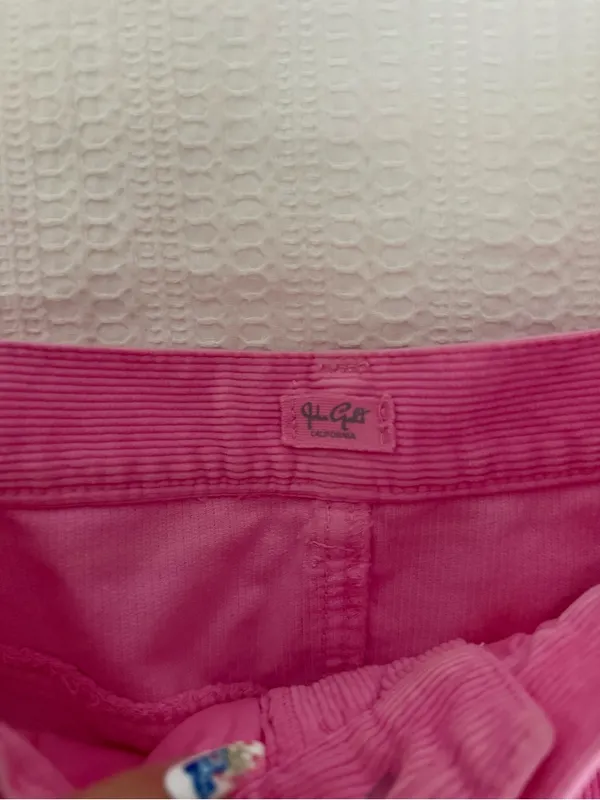 Brandy Melville Bright Pink Corduroy A-Line Mini Skirt - Image 2