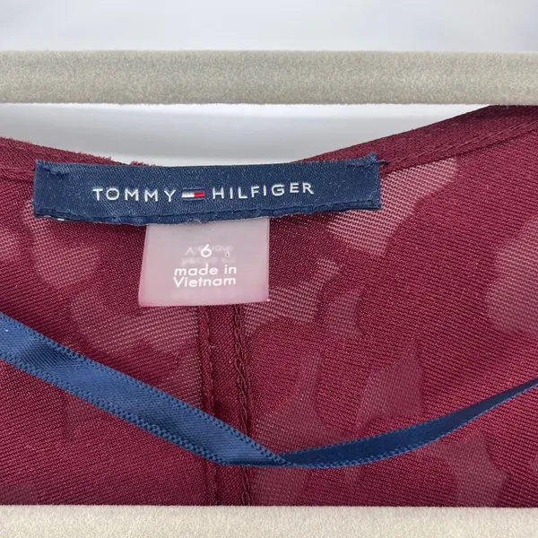 Tommy Hilfiger Burnout Velvet Dress Sz 6 Whimsigoth Burgundy Sheer Romantic Goth - Image 11