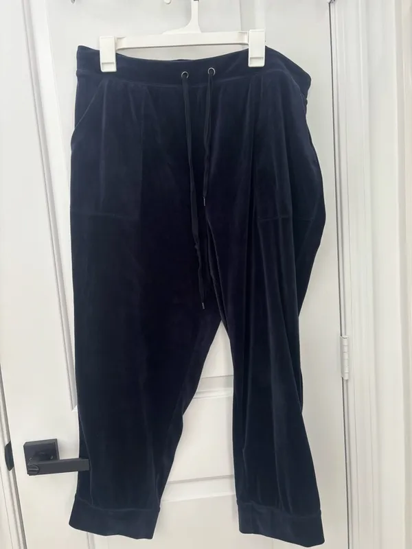 Anthropologie Saturday Sunday merida velour velvet jogger - Image 3
