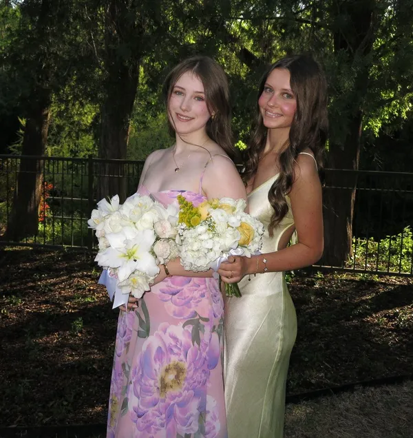 Bec & Bridge Dress - Image 4