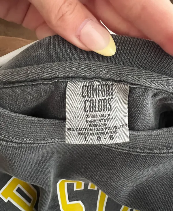 Comfort Colors AppState Sweatshirt - Image 3