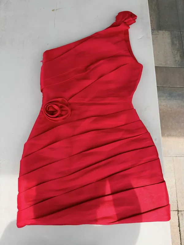 Showpo Dress - Image 3