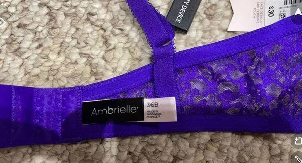 Ambrielle Bra - Image 3