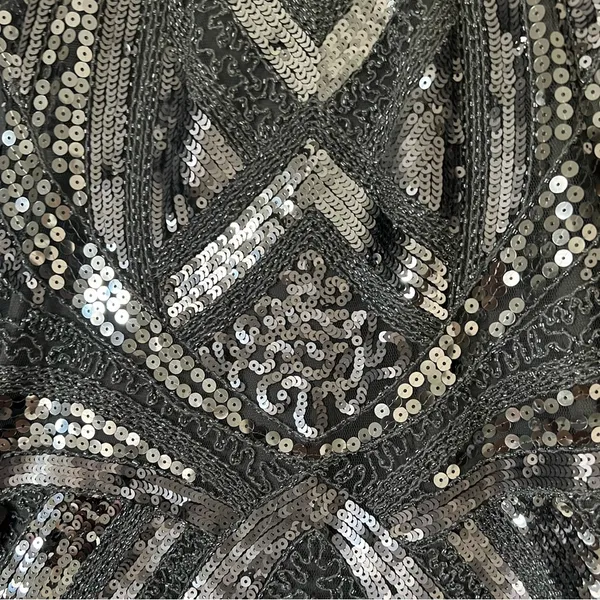 Vici Silver- Dark Gray Sequin Mini Dress - Image 3