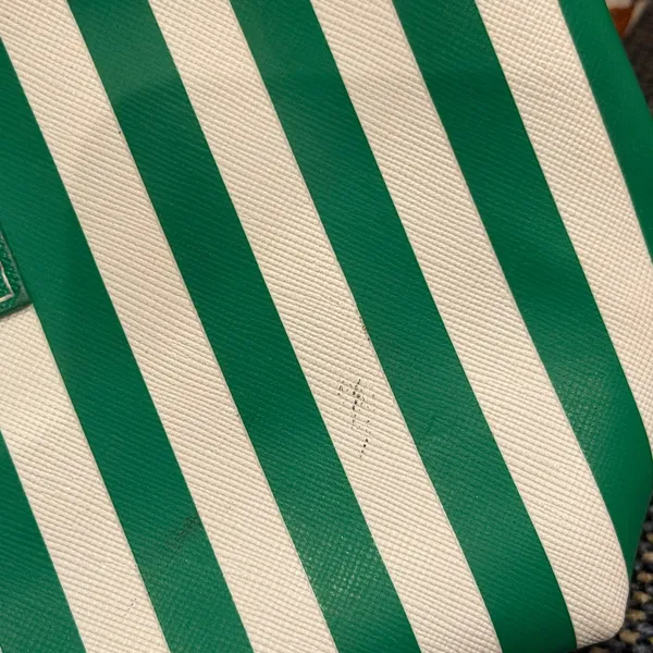 Mario Badescu Emerald Green and White Striped Pouch - Image 2