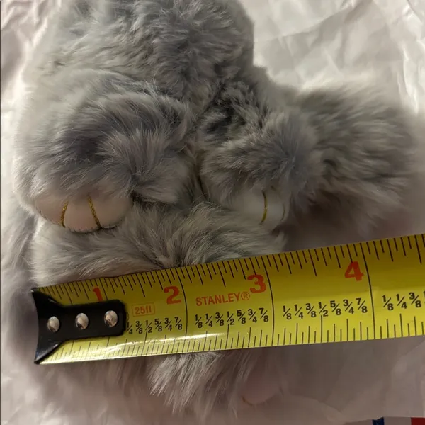 Fluffy Gray Fur animal - Image 5