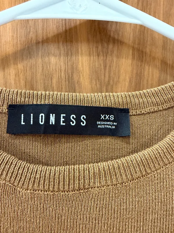 Lioness Brown Mini Dress - Image 3