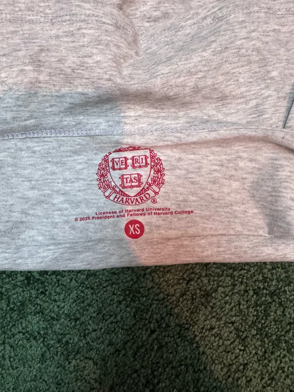 Harvard Tube Top Gray Size XS - Image 3