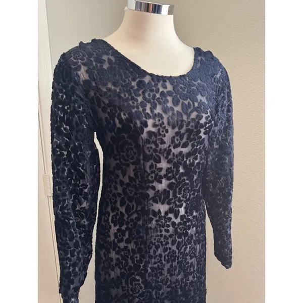 Vintage Caron Joy Sheer‎ Velvet Burnout Dress Floral Long Sleeve Maxi Evening - Image 4
