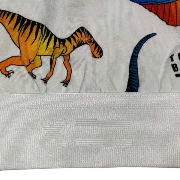 TomboyX Bralette Women Small White Rainbow Dinosaur Print Scoop Neck Kidcore - Image 4
