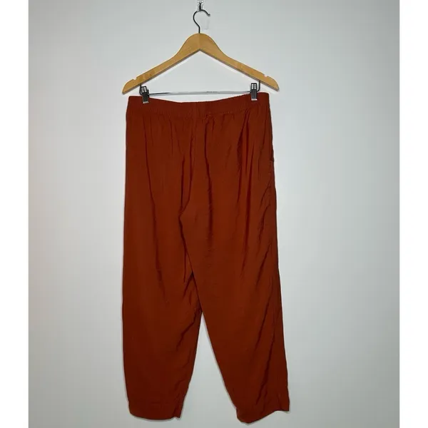 Madewell Drapey Track Trousers in Weathered Brick Size Large - Image 6