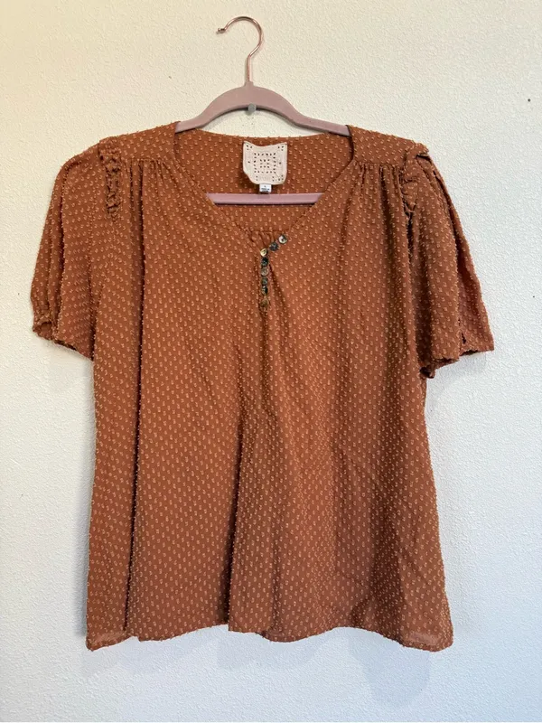 Johnny Was Brown Swiss Dot Boho Peasant Blouse L Ruffle V-Neck Top - Image 2