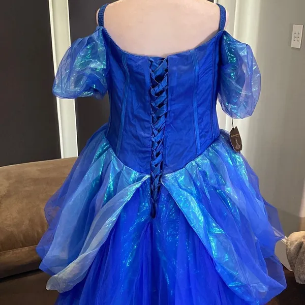 Gorgeous Fairy Tale Cinderella Dress with Butterflies Size 14 NWT - Image 6