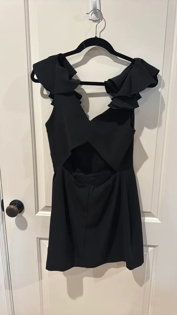 Amanda Uprichard Dress - Image 3