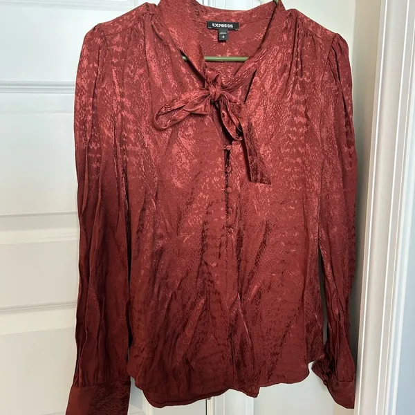 Express Long Sleeve Pussycat Bow Blouse Brown Size S - Image 2