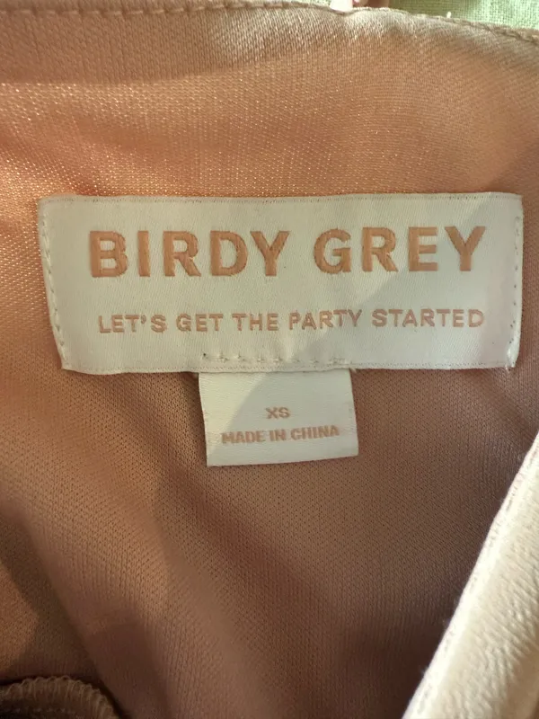 Birdy Grey Adele Dress in Chiffon - Image 5