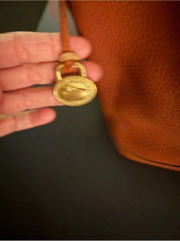 Dooney & Bourke Orange Pebble Leather Bucket Bag with Tassel Drawstring - Image 2